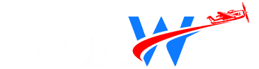 666w Game Logo